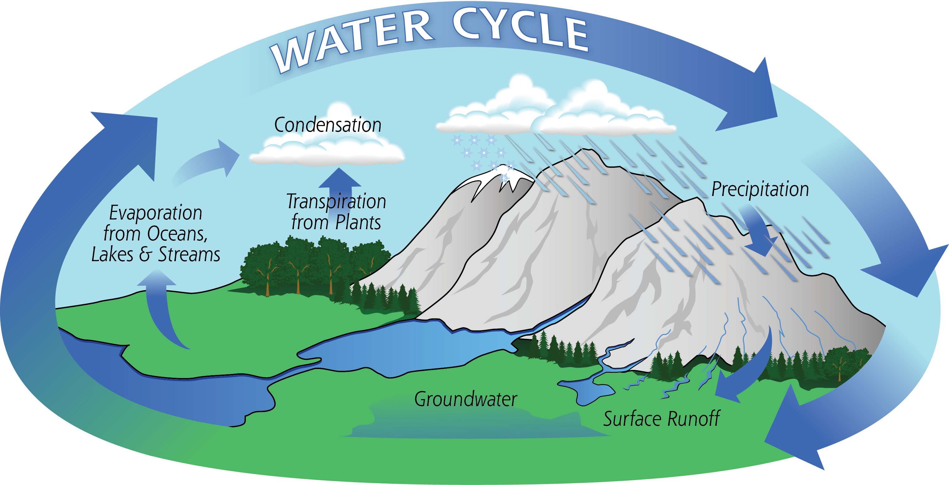 Water-Cycle-Art2A.png