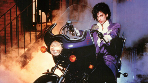 primary_purple-rain-bike